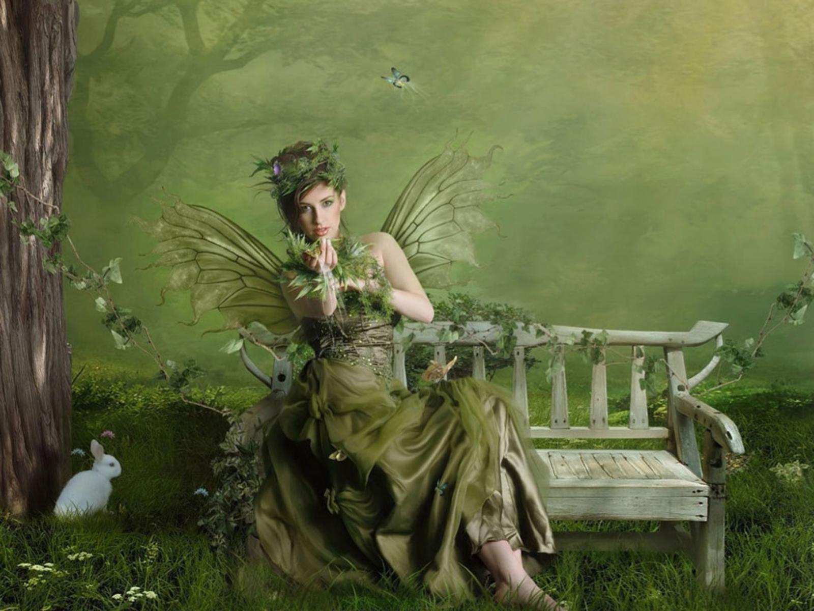 Green fairy free desktop background wallpaper image