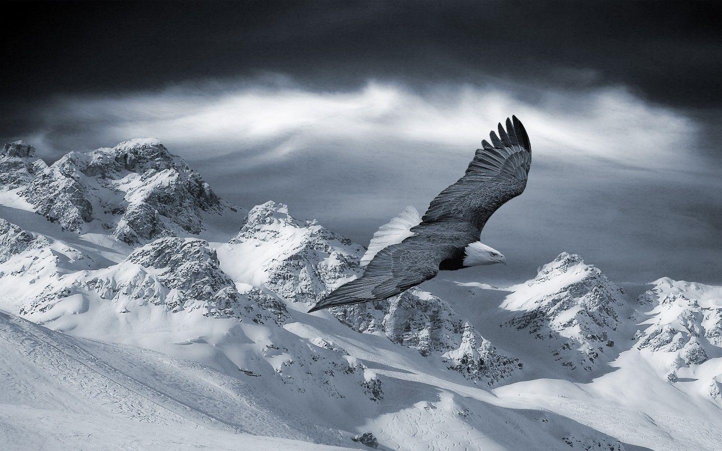 Pix For > Dark Snowy Mountains Wallpapers