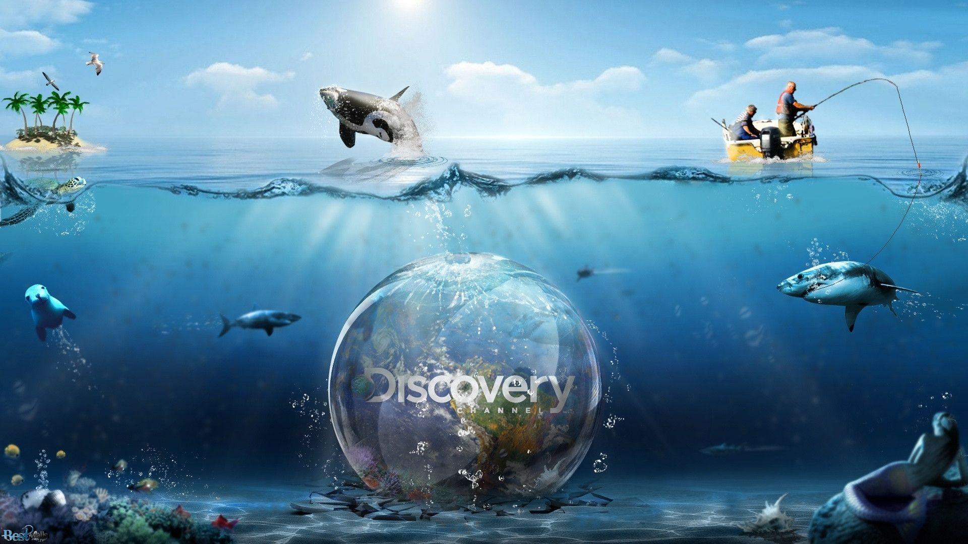 Discovery Channel Wallpapers Wallpaper Cave
