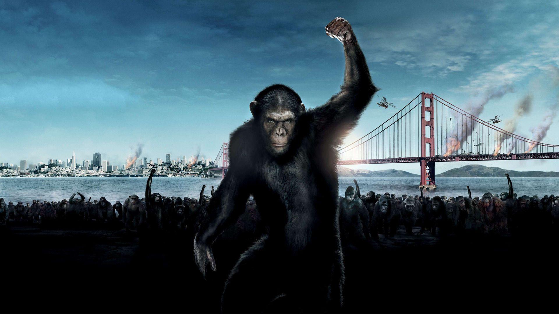 Dawn of the Planet of the Apes Wallpaper HD for Your Desktop