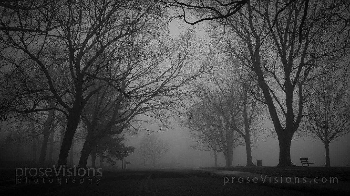 Free Wallpaper of The Grand Fog Image. Exploring HDR Photography