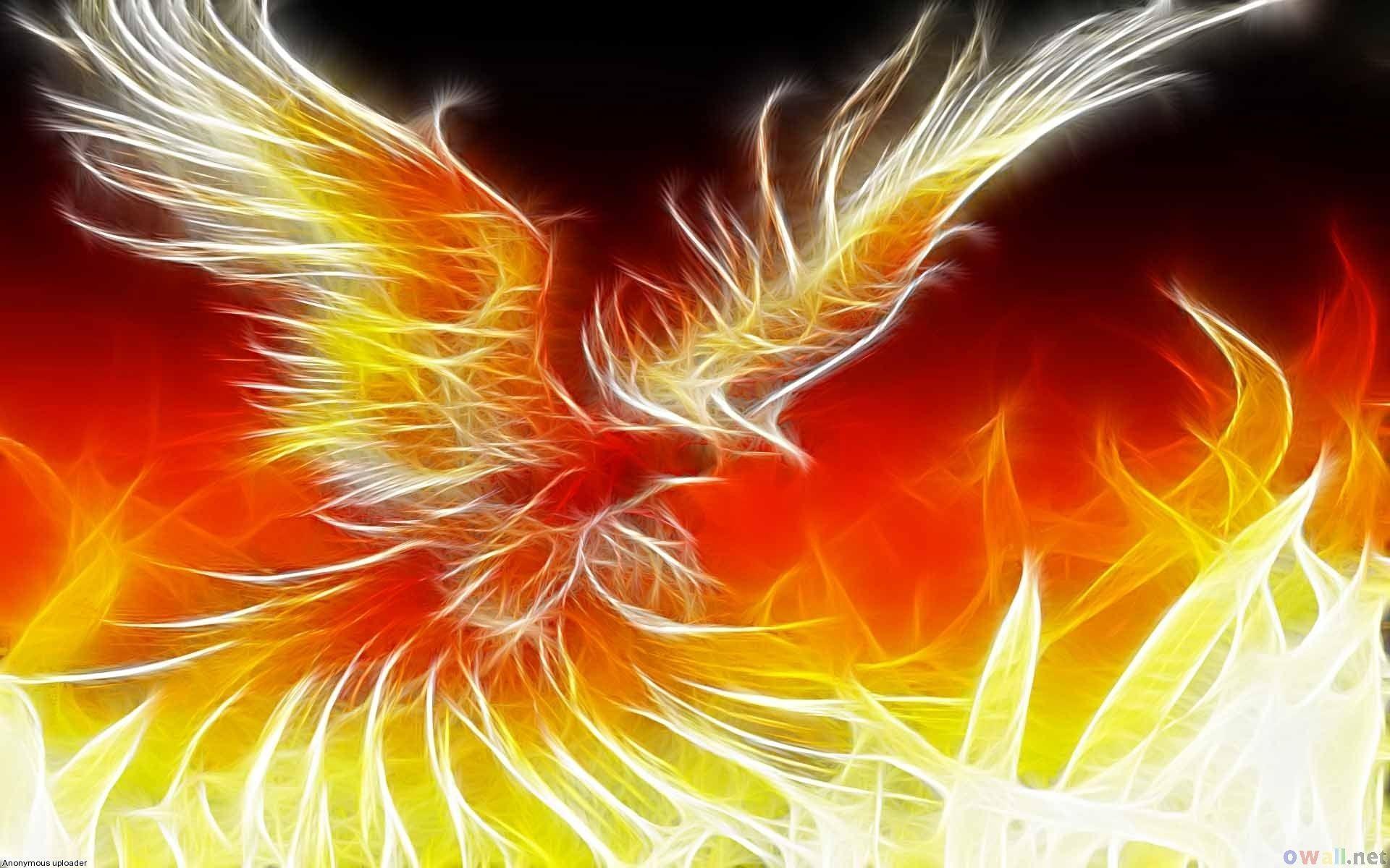 cool phoenix bird wallpaper