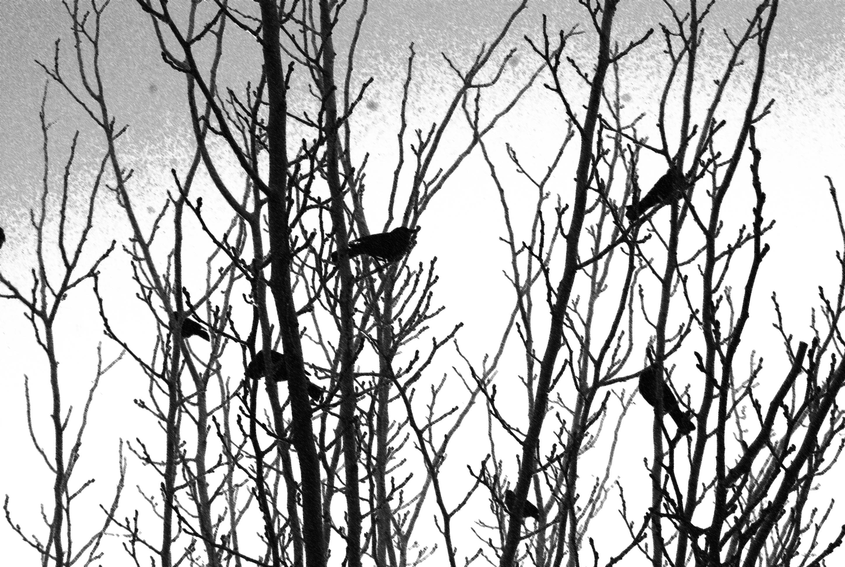 Occult Computer Wallpaper, Desktop Background 2896x1944 Id: 302536