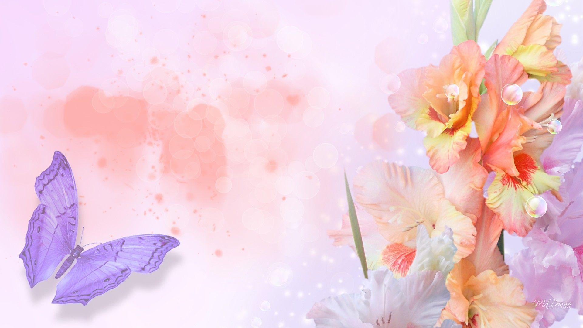 Iris Wallpaper, Best Image, Top Flowers Wallpaper