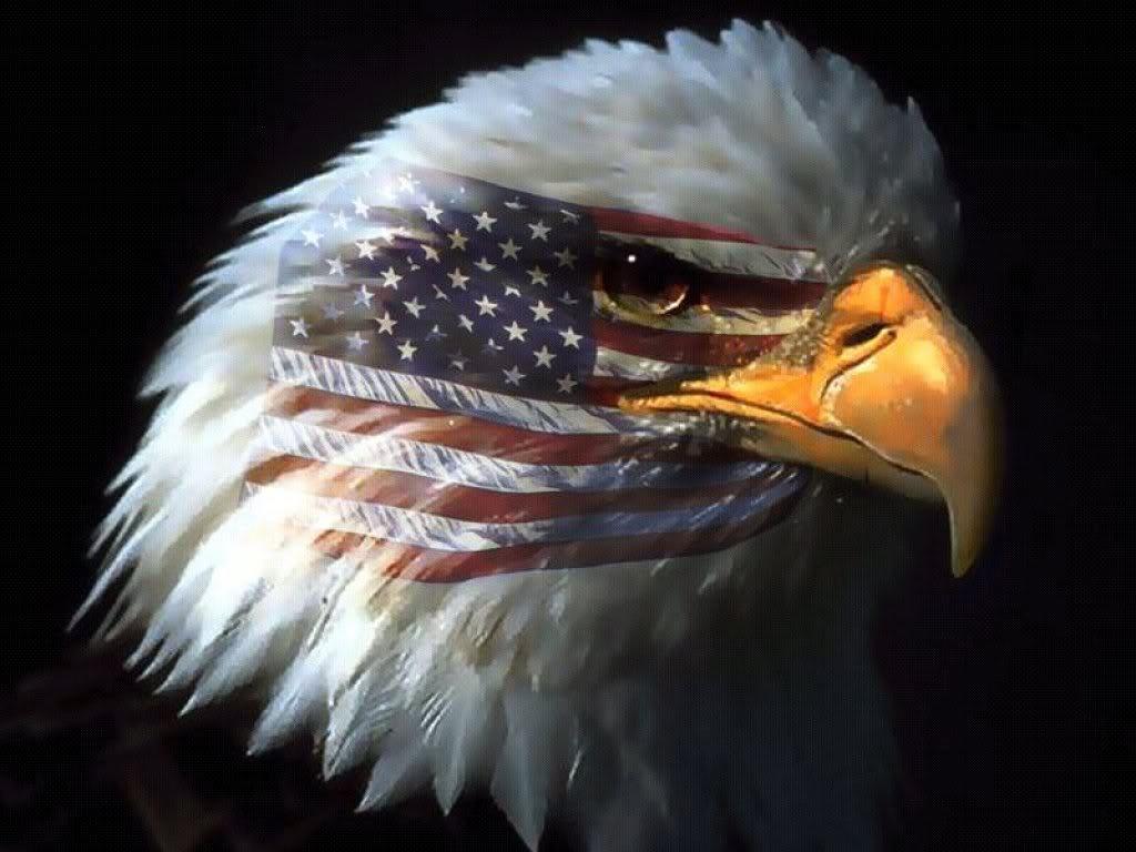 American Flag Bald Eagle Picture Wallpaper. PicsWallpaper