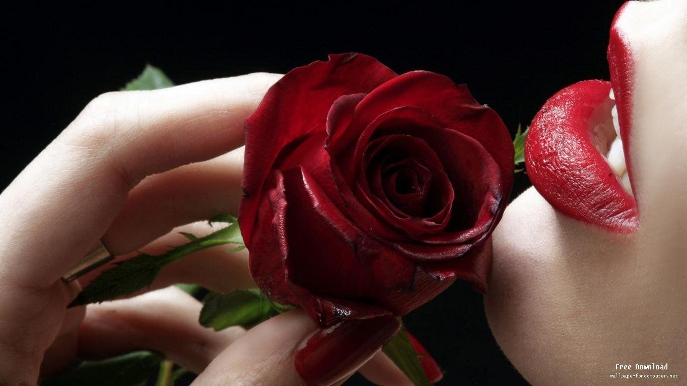 Red Rose Lips Wallpaper View