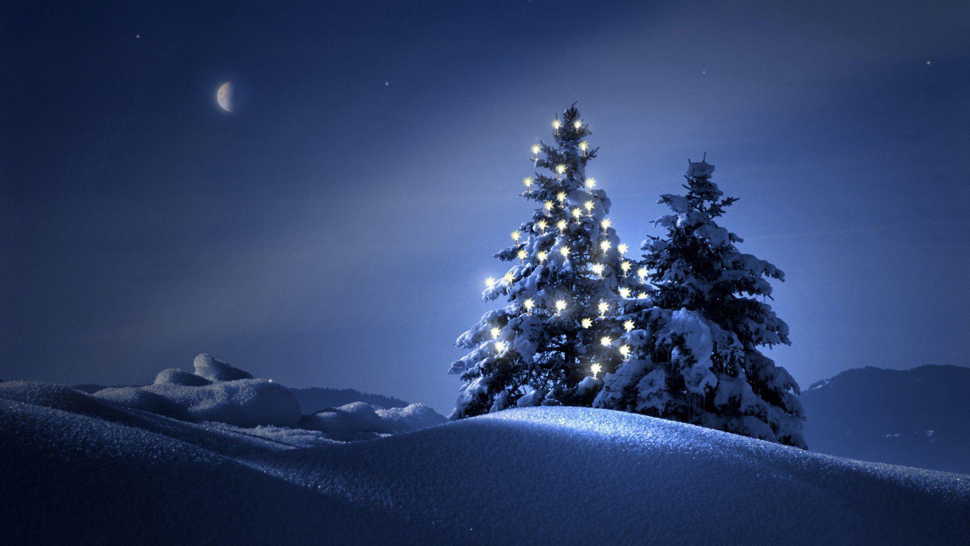 737 Christmas Background Night Picture - MyWeb