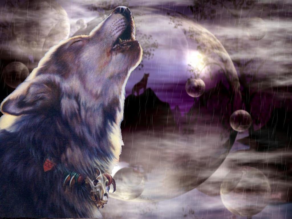Full View And Download White Wolf Wallpaper With Resolution Of