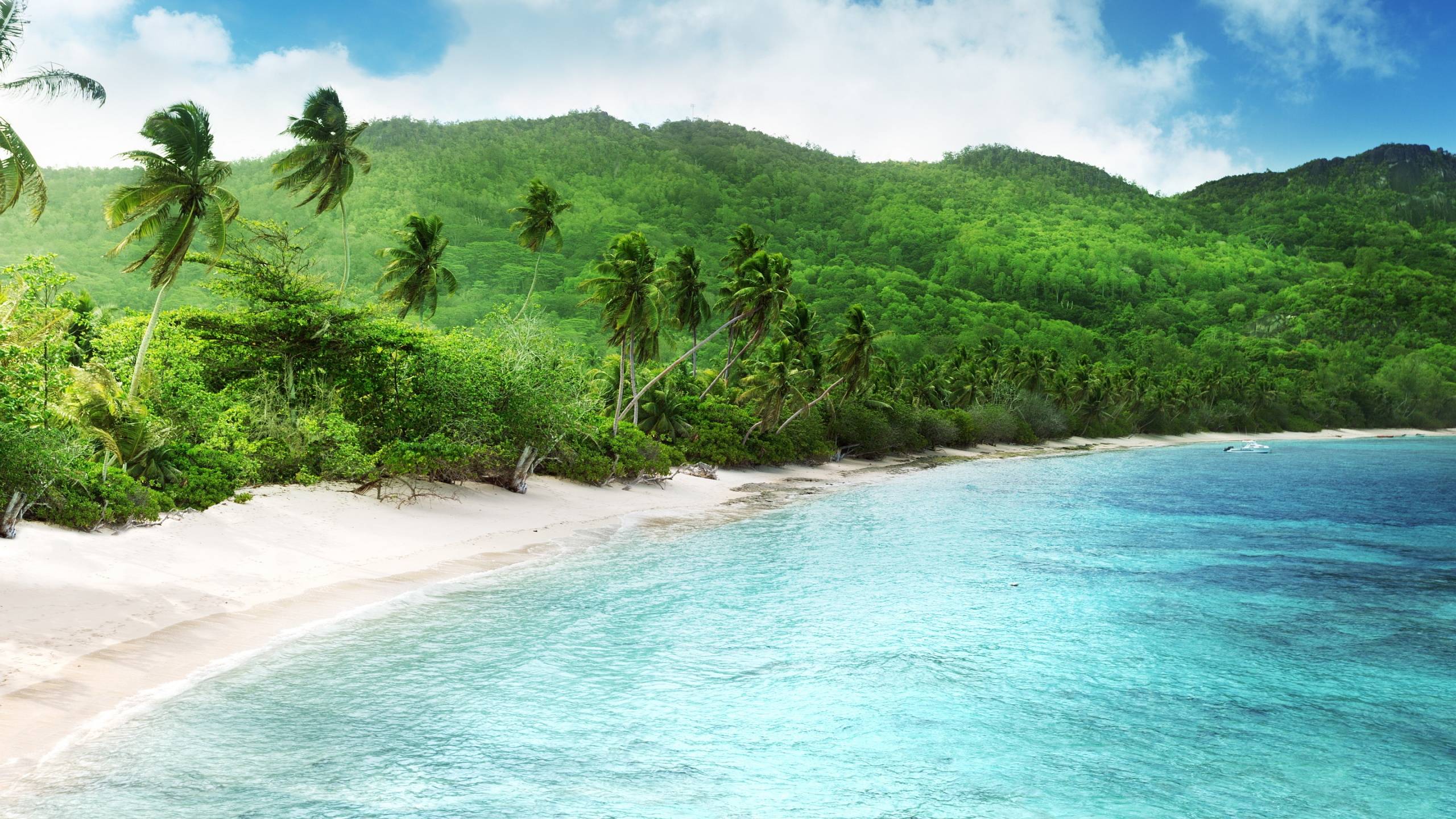 Tropical beach seychelles Wallpaper