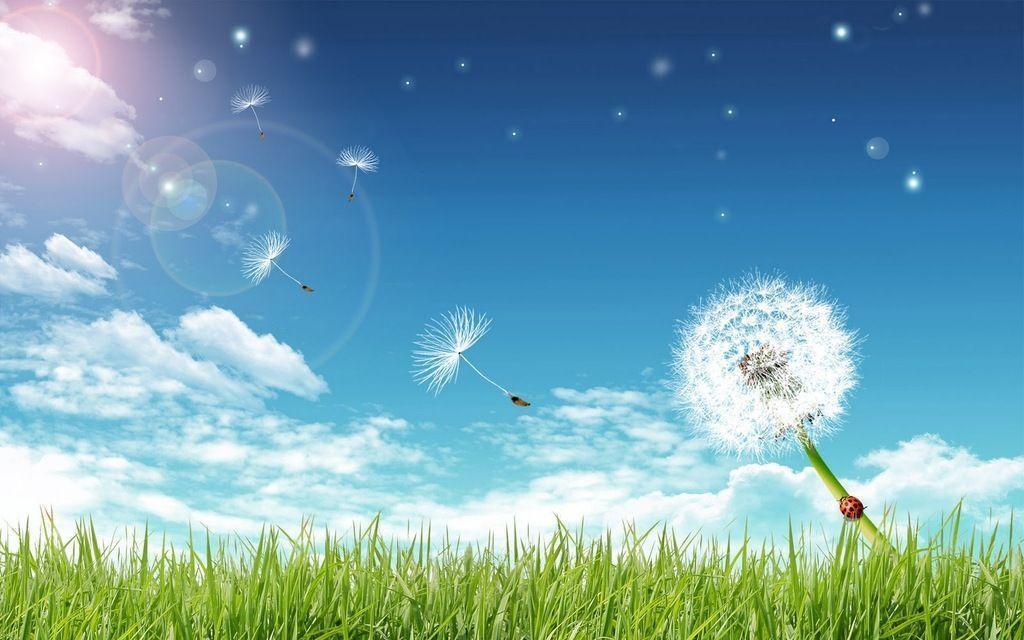 Grass, blue bright sky and a dandelion Download PowerPoint