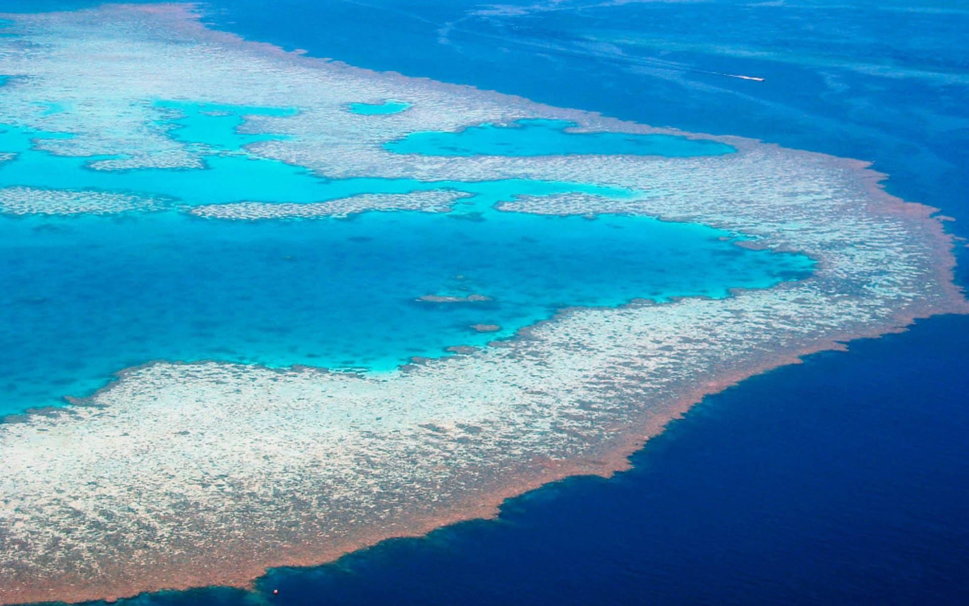 Great Barrier Reef Wallpaper HD wallpaper search