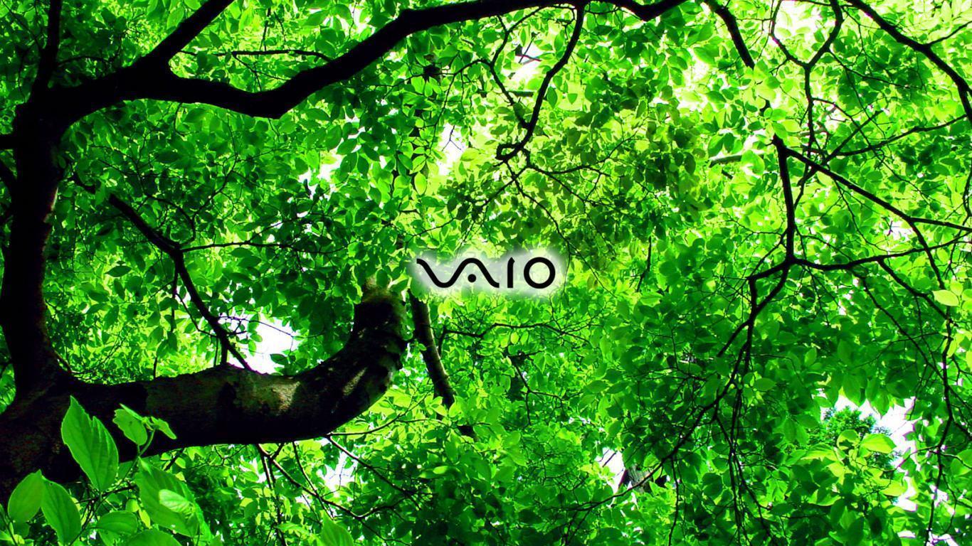 Sony Vaio Wallpaper 1366x768