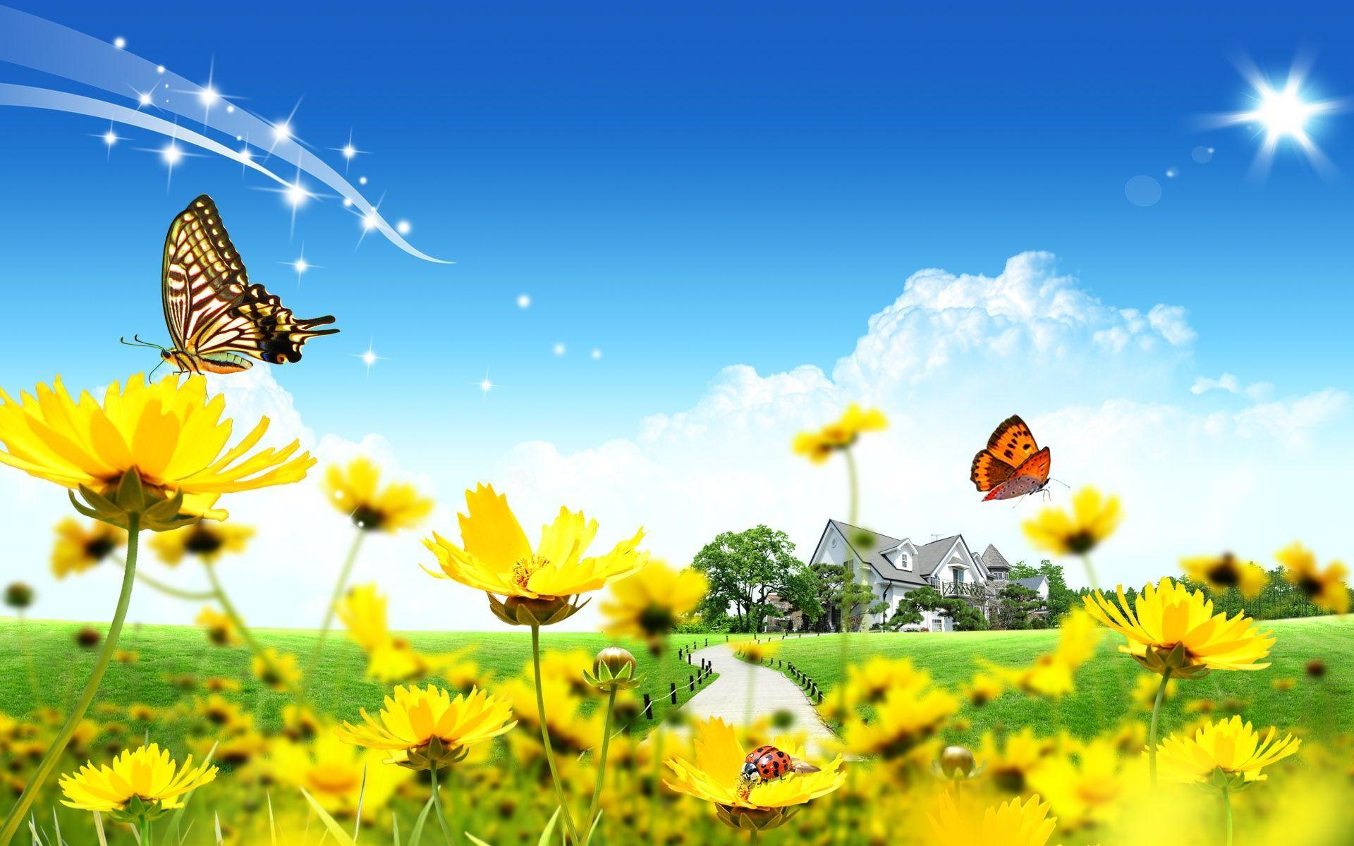 Beautiful Flowers Background Image Pretty Background Widescreen