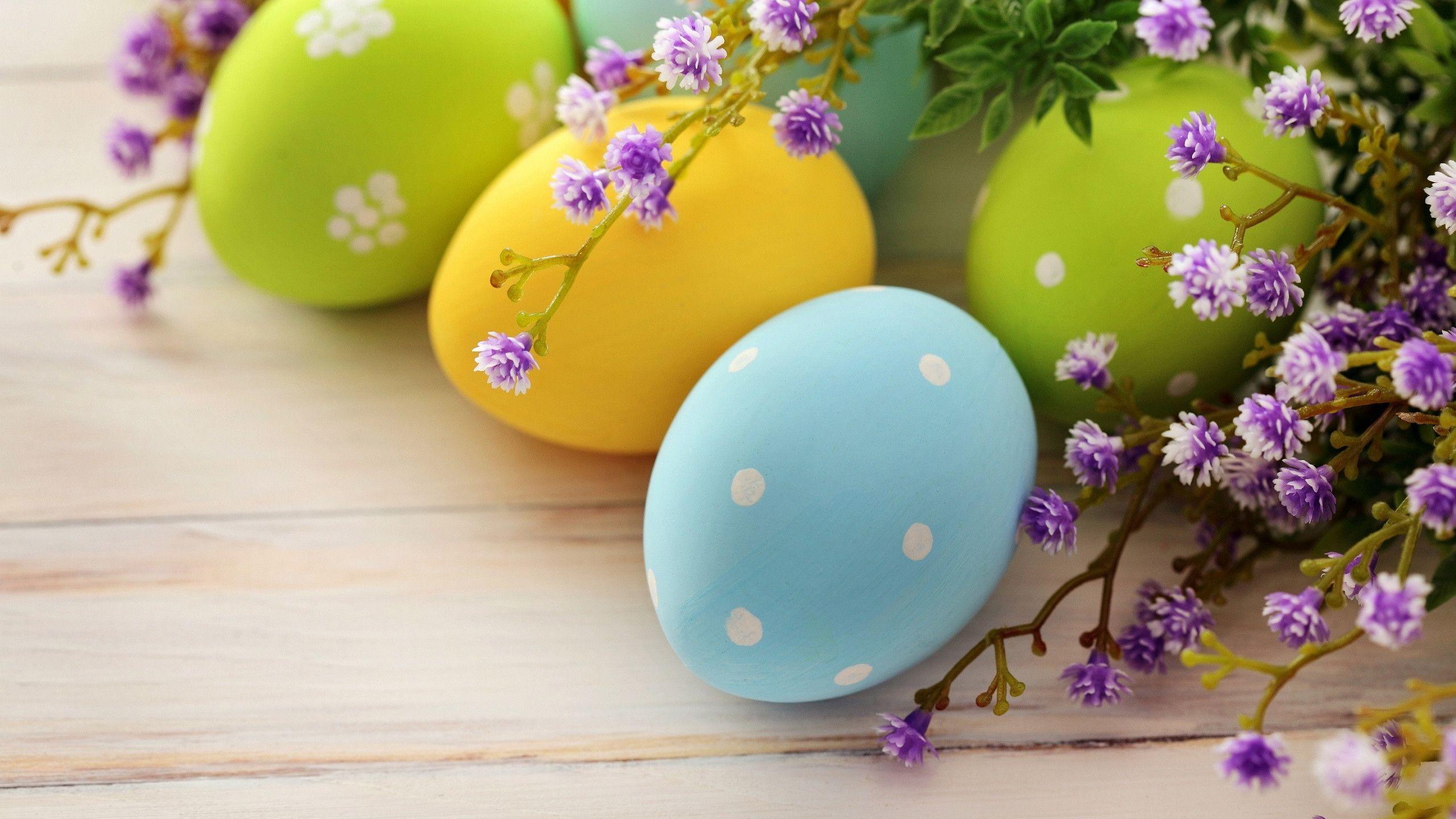Easter eggs background Wallpaper