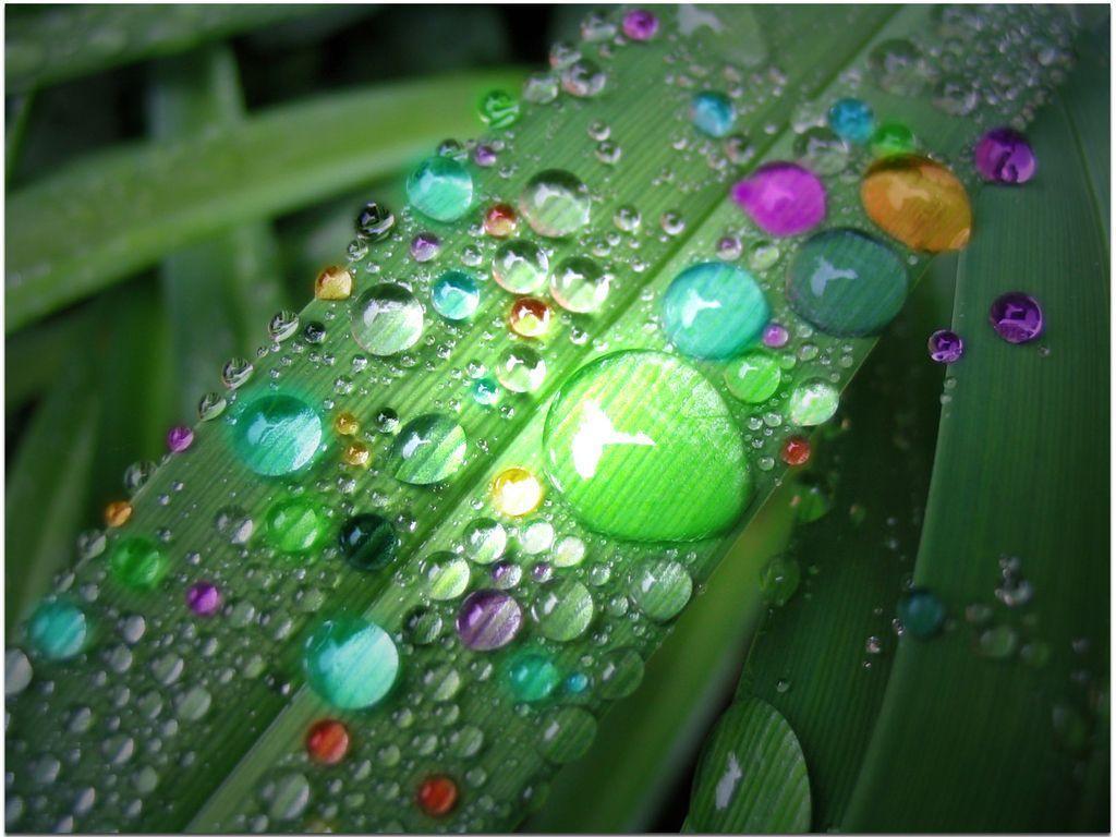 Wallpaper For > Colorful Raindrops Background