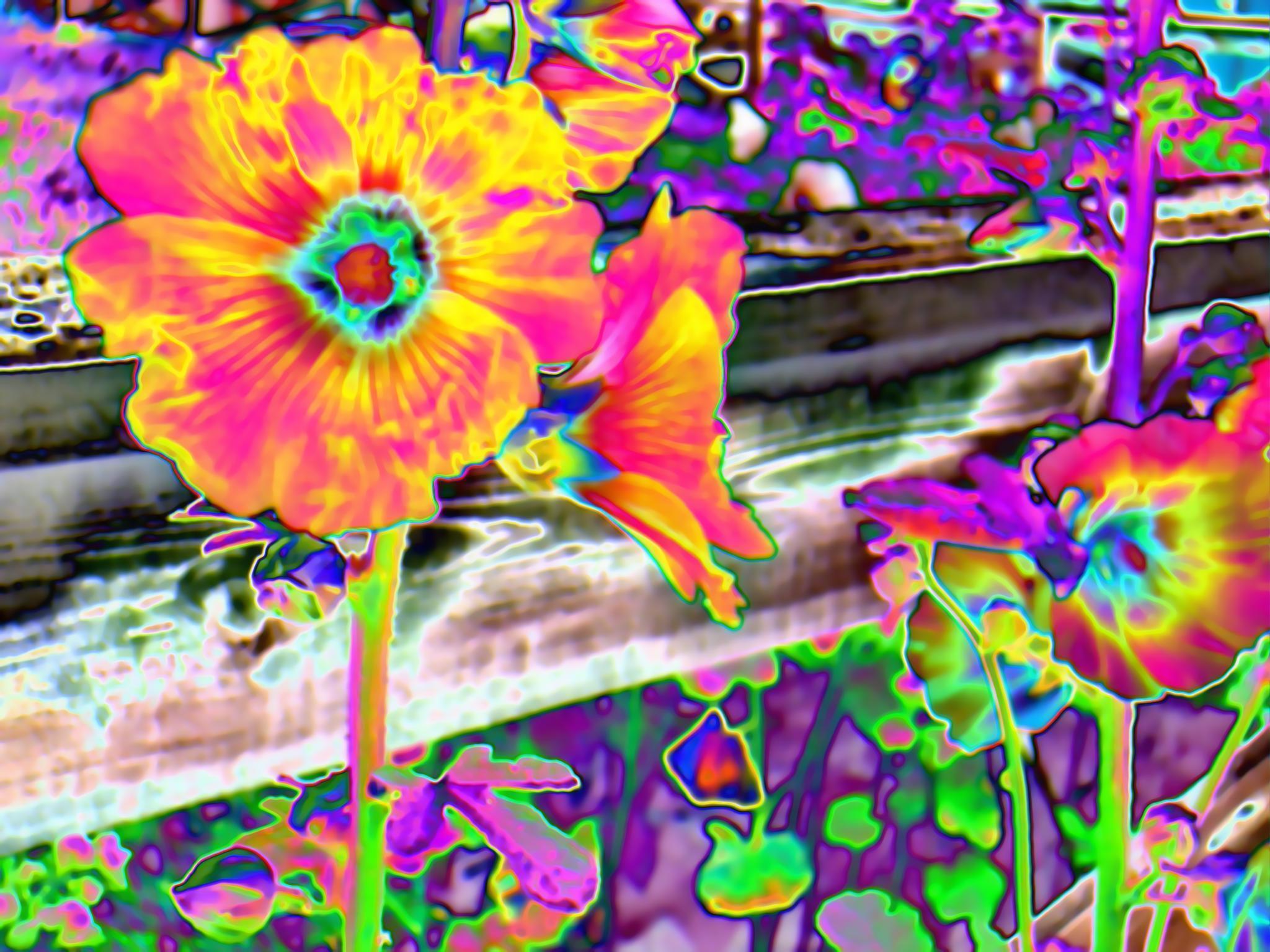 Pix For > Acid Trip Wallpaper HD