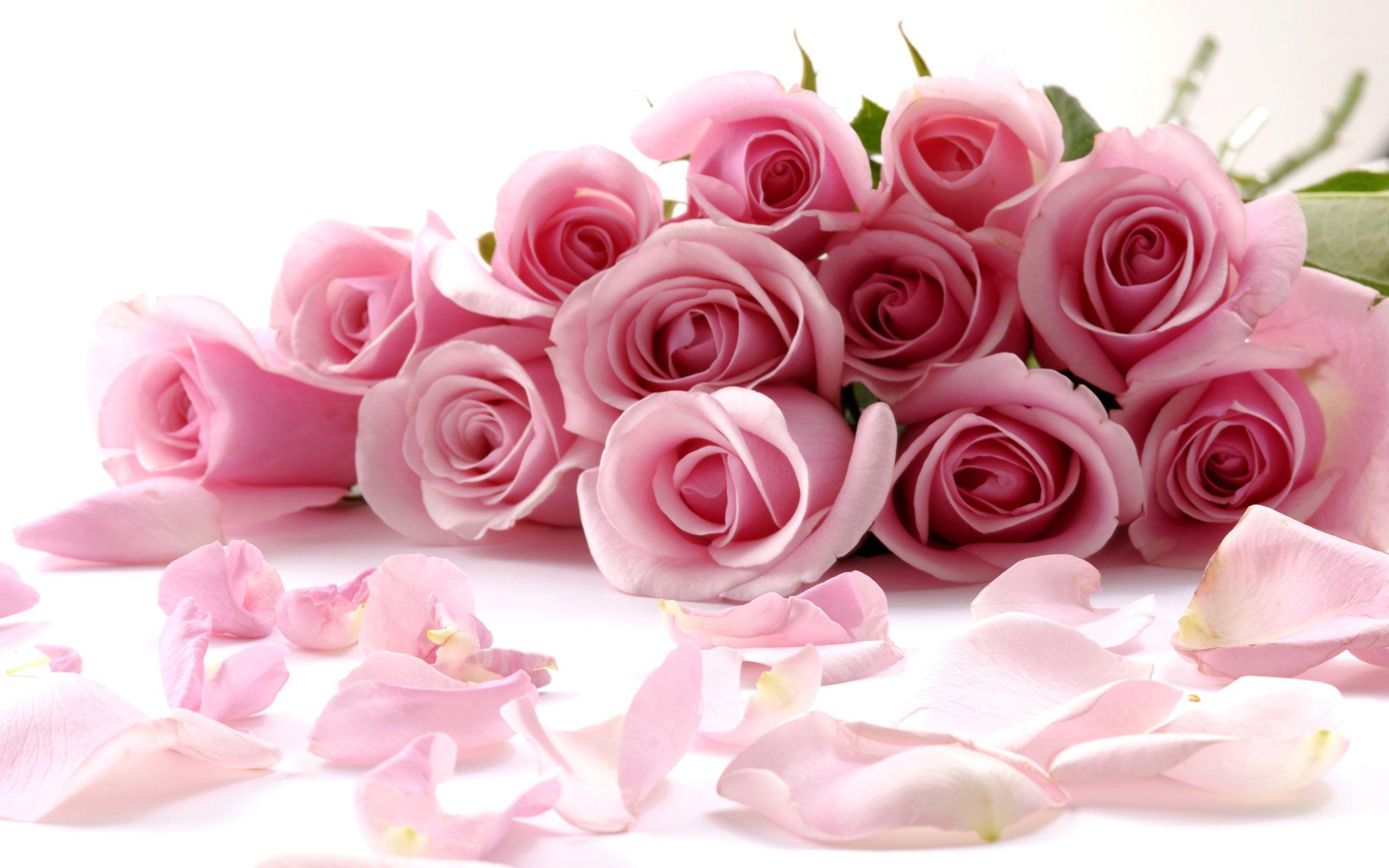Pink Rose Bouquet HD Wallpaper Desktop Wallpaper