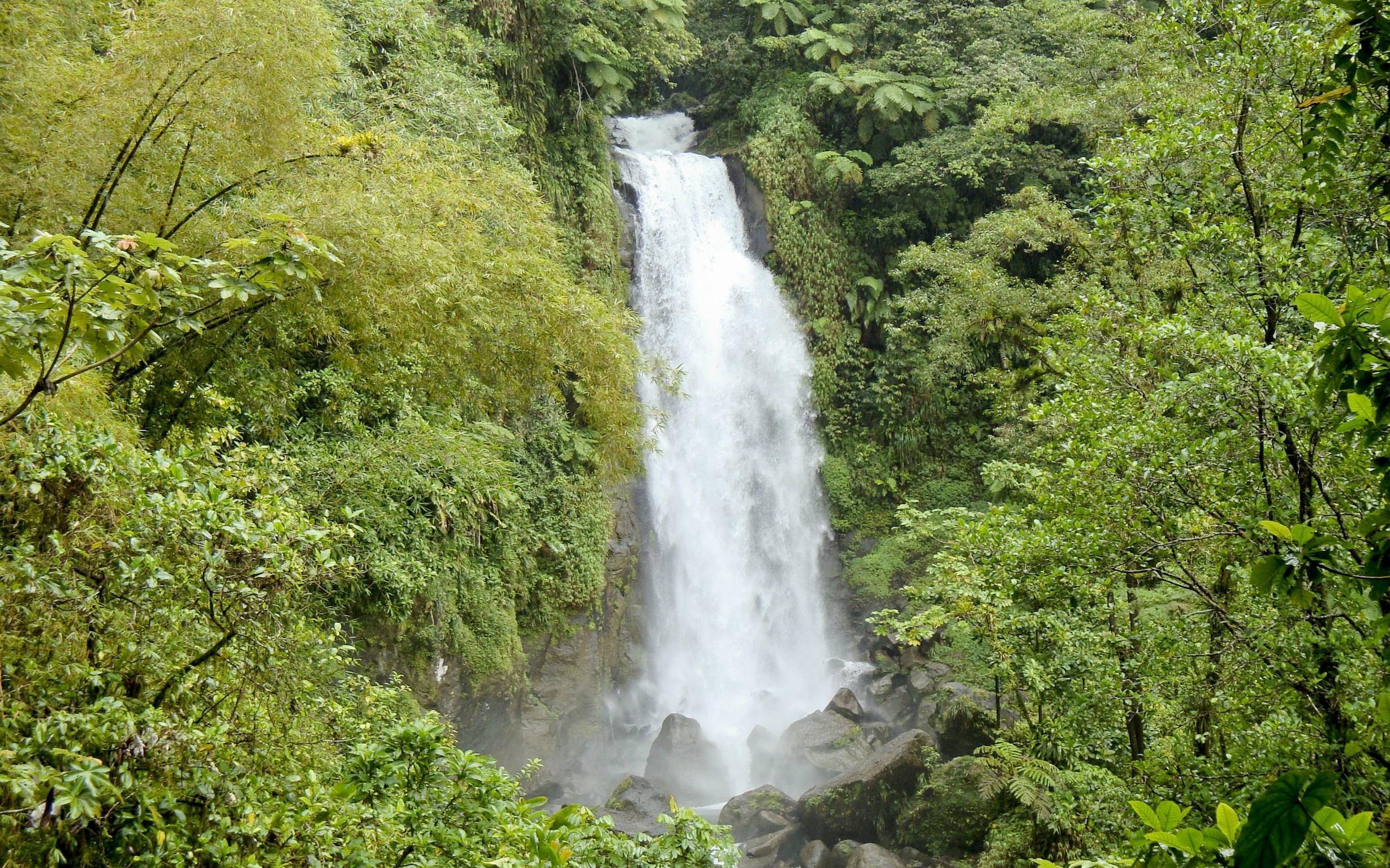 Grenada Waterfall Wallpaper