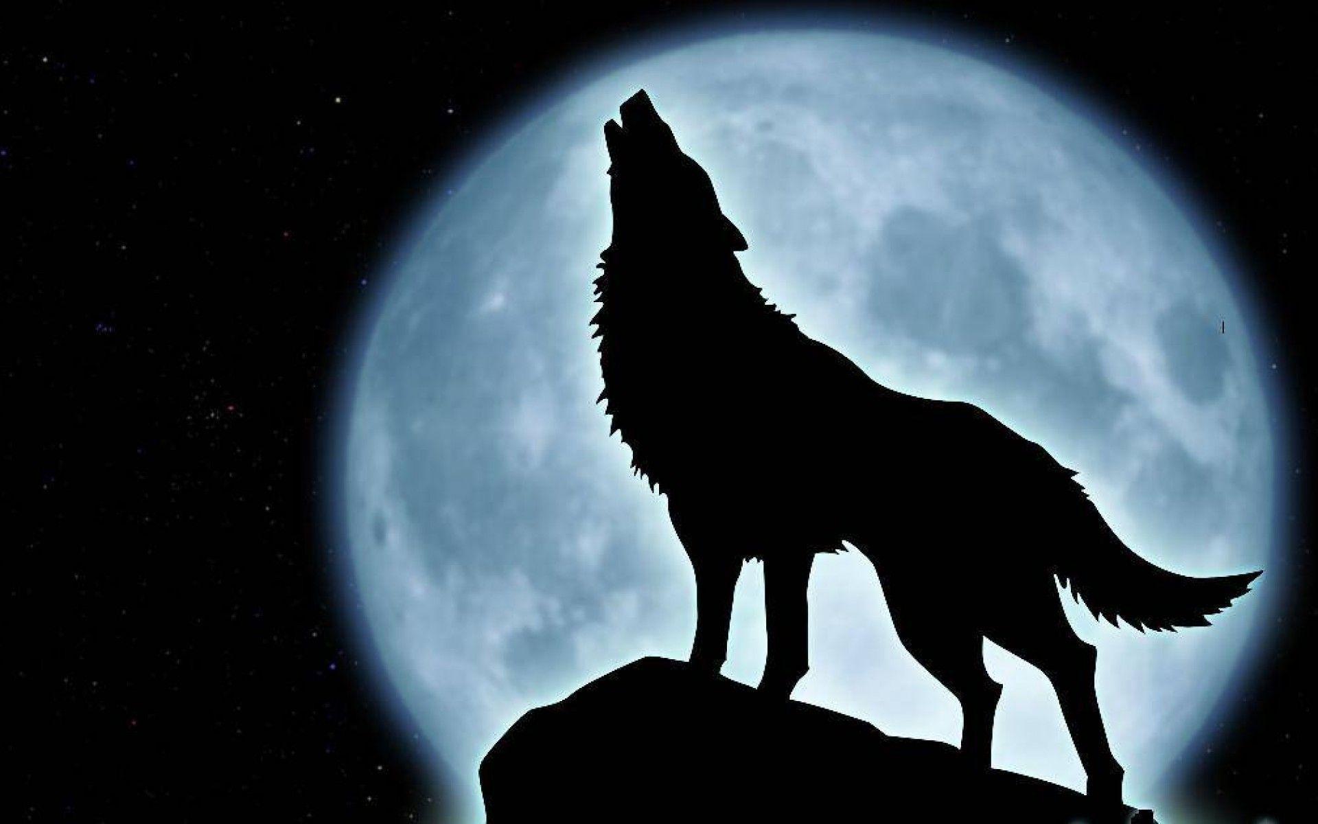 Full Moon With Wolf Howling Wallpaper Car Picture