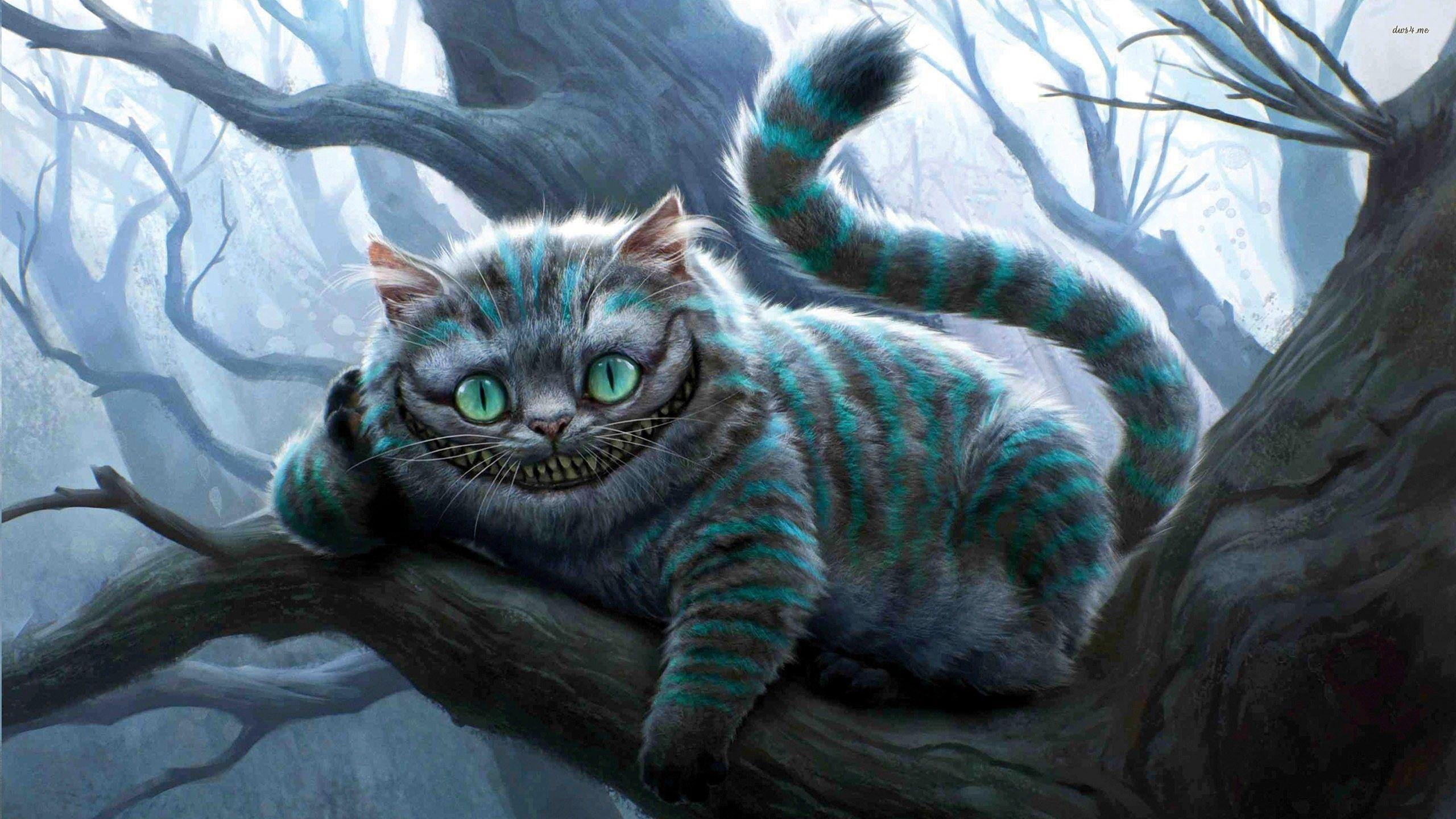 Alice In Wonderland Cat Hd