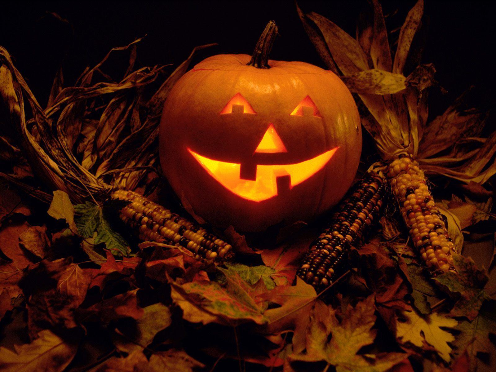 Halloween pumpkin at night free desktop background