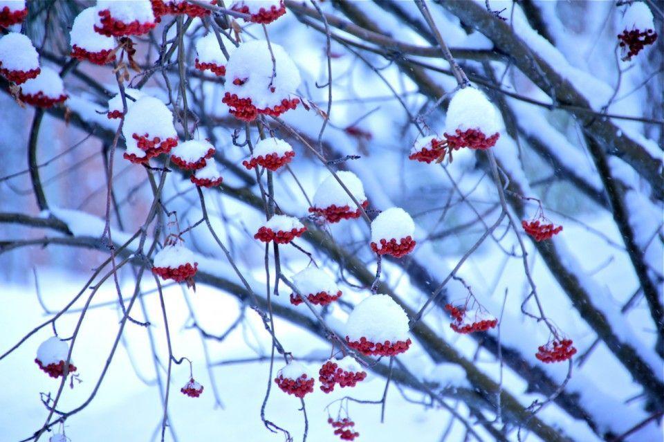 Snow Wallpaper. C a r W a l l p a p e r 2014