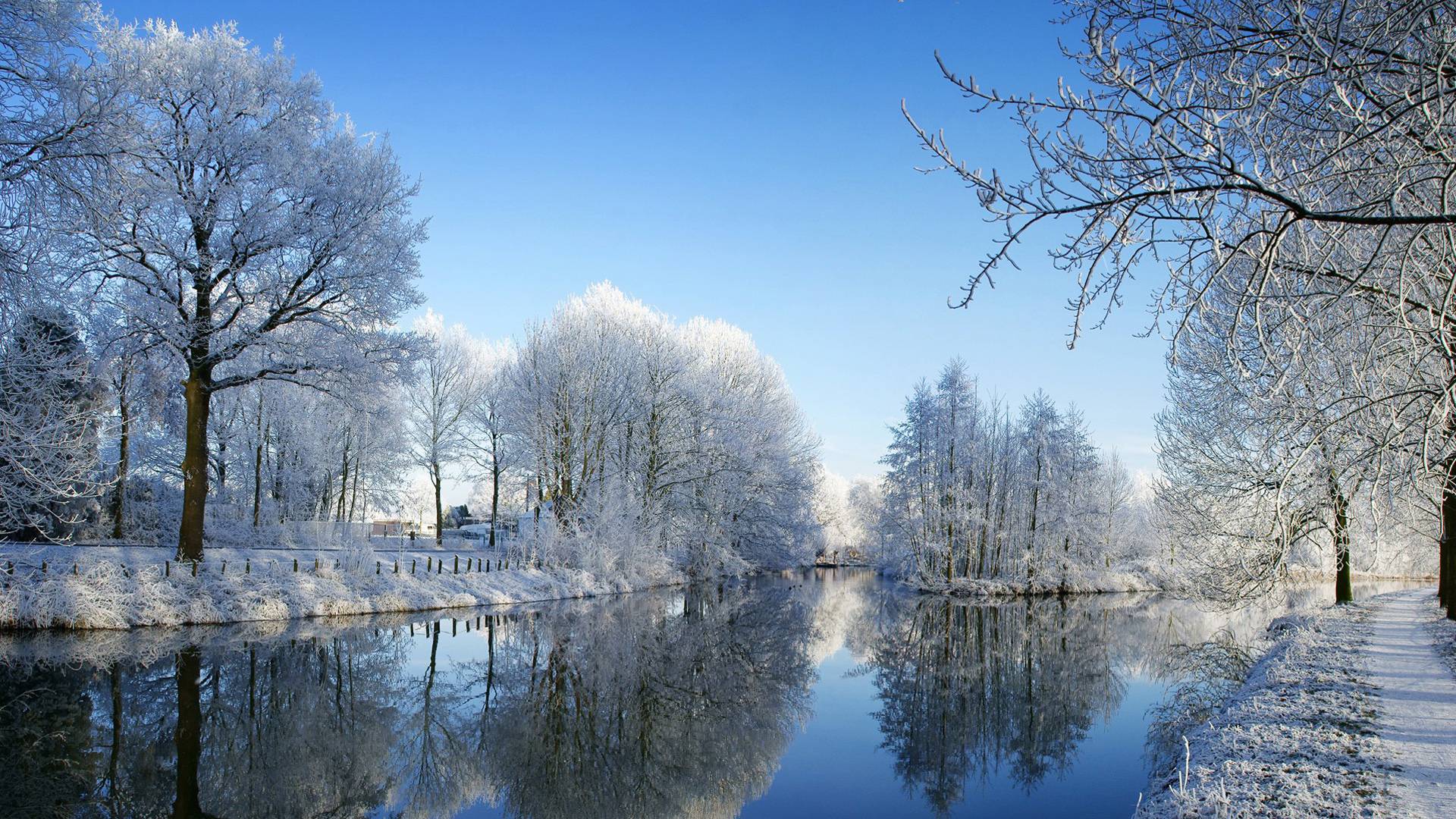 winter image
