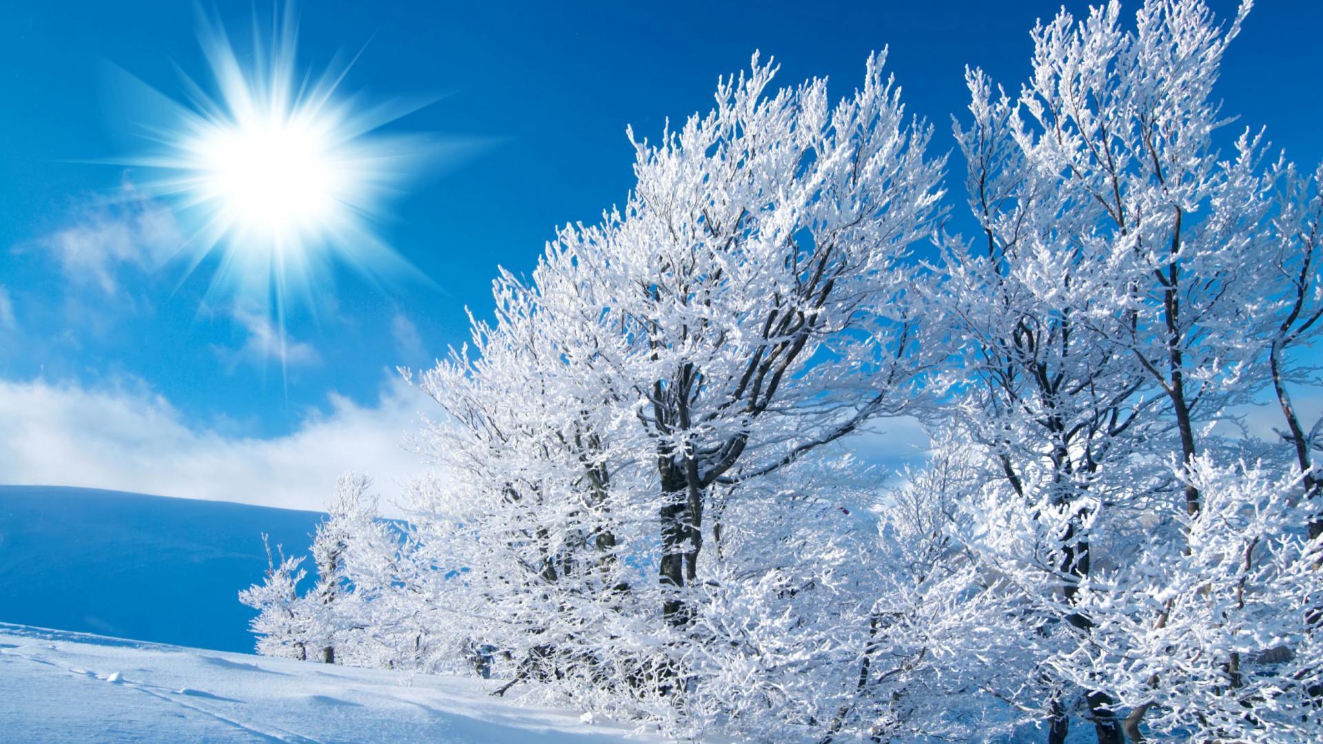 Beautiful Free Winter Wallpaper Desktop Backgrounds