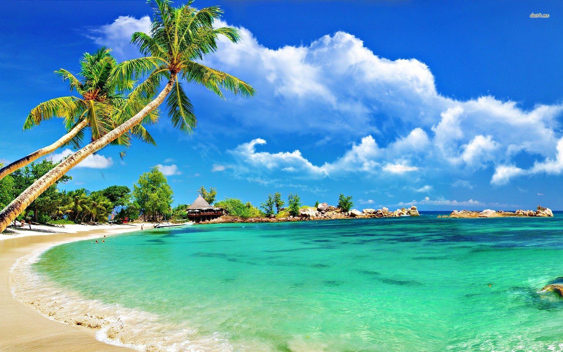 tropical beach wallpaper