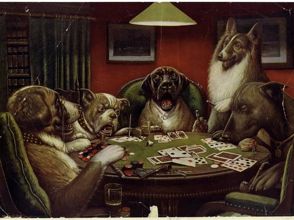 Funny Animals Playing Cards Wallpaper HD 19 Wallpaper. High