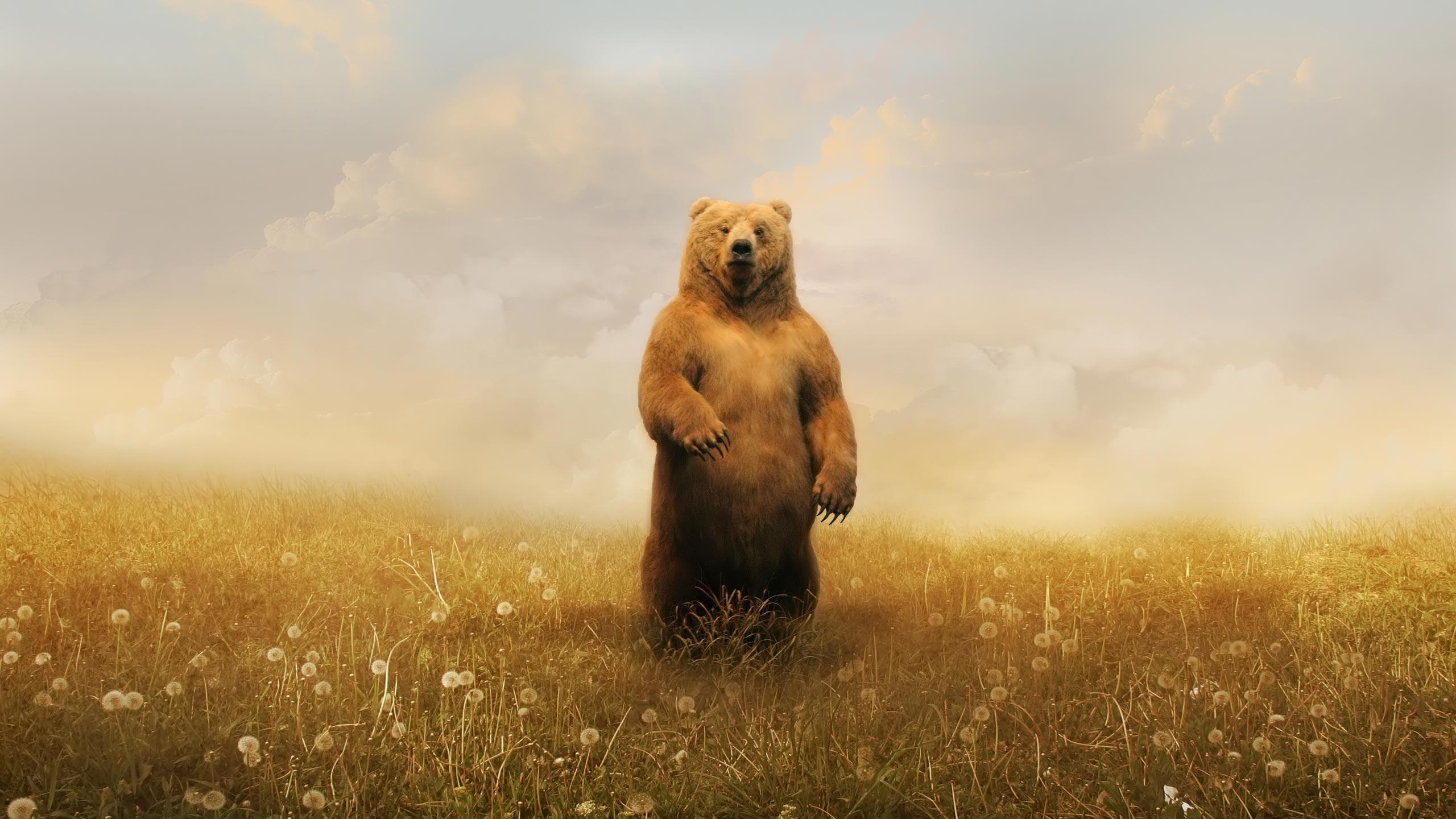 Desktop Wallpaper · Gallery · Windows 7 · Spring bear pc