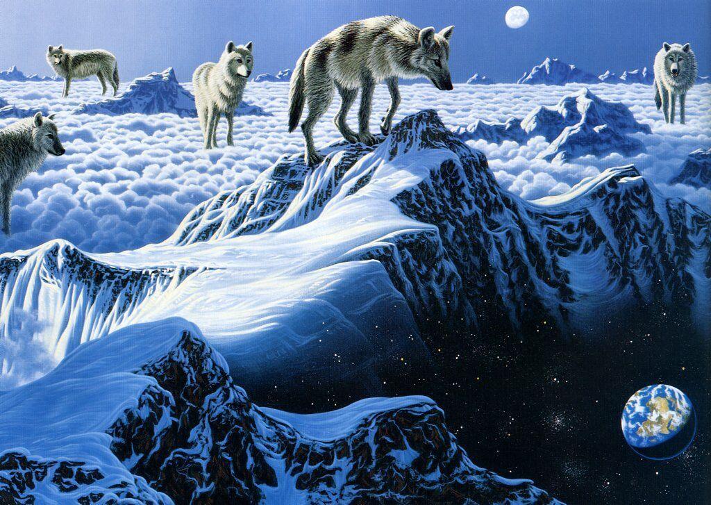 Arctic wolves free desktop background wallpaper image