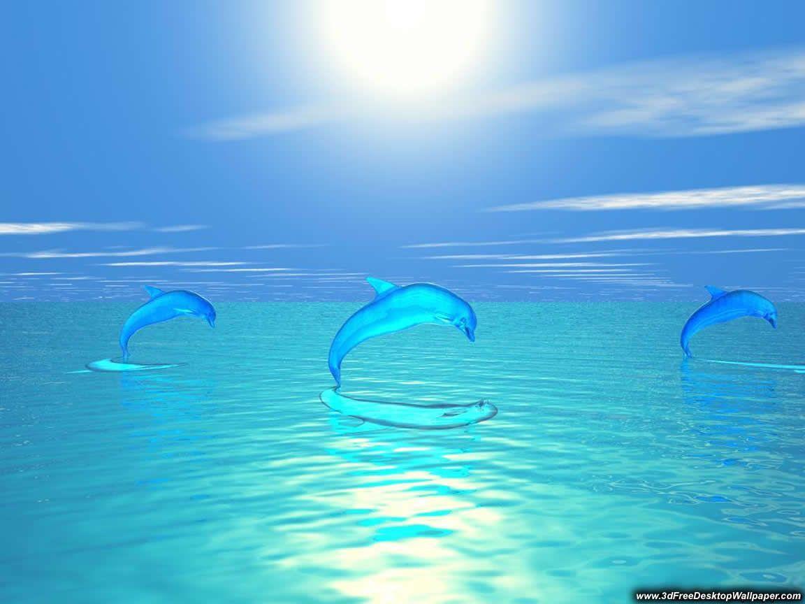 google background wallpaper