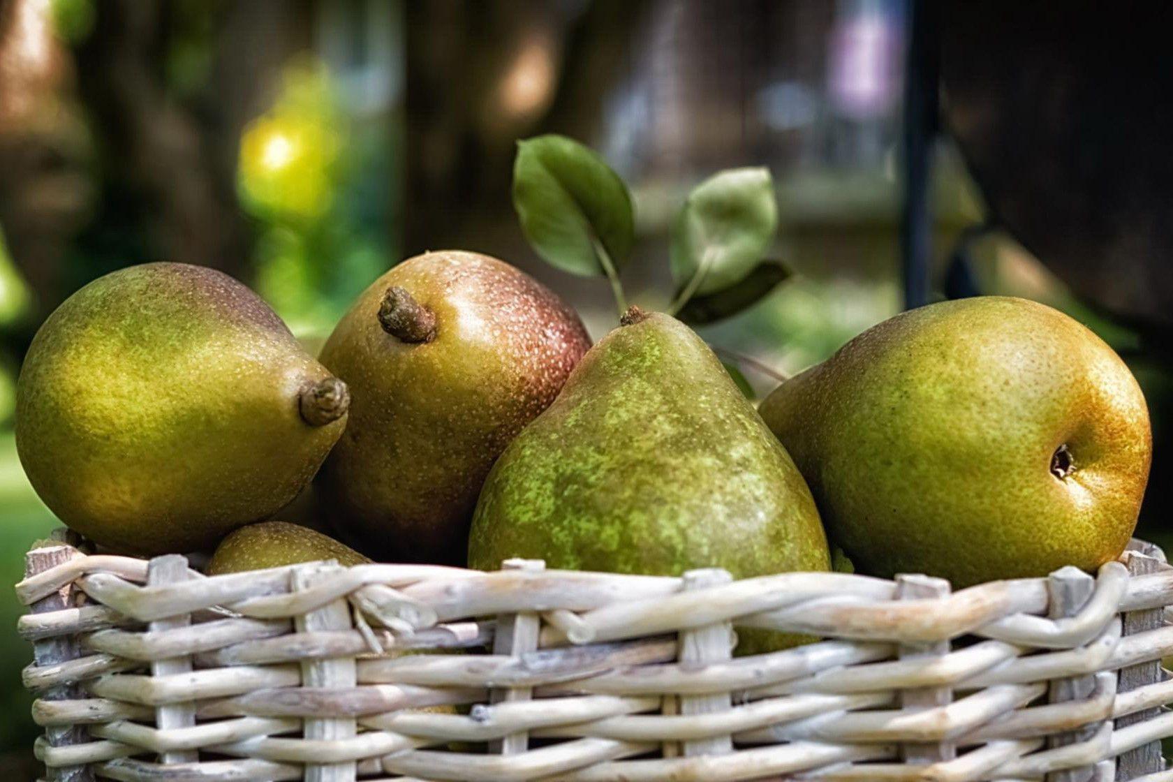 Pear Wallpapers - Wallpaper Cave