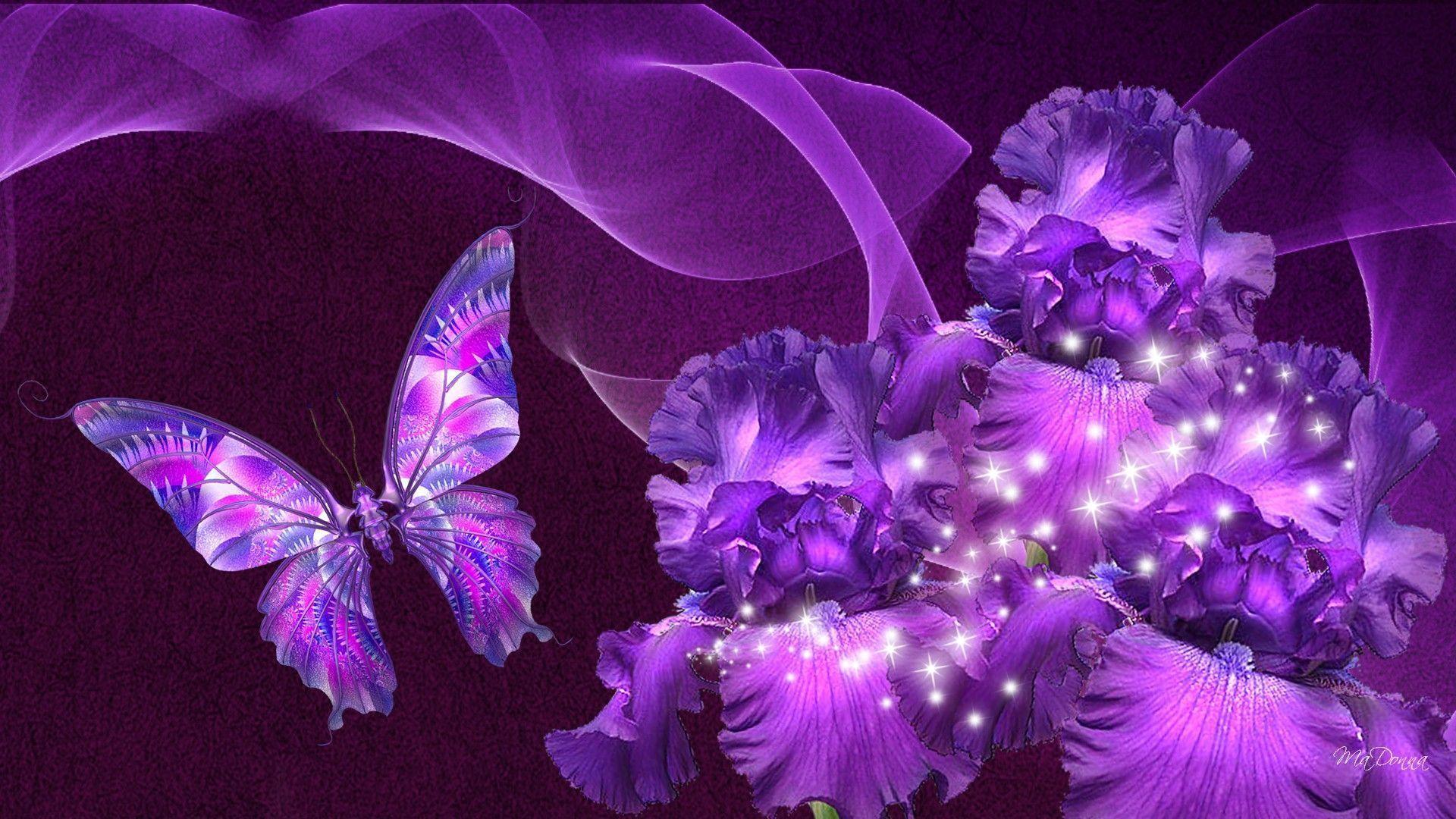 HD Purple Iris Beauty Wallpaper