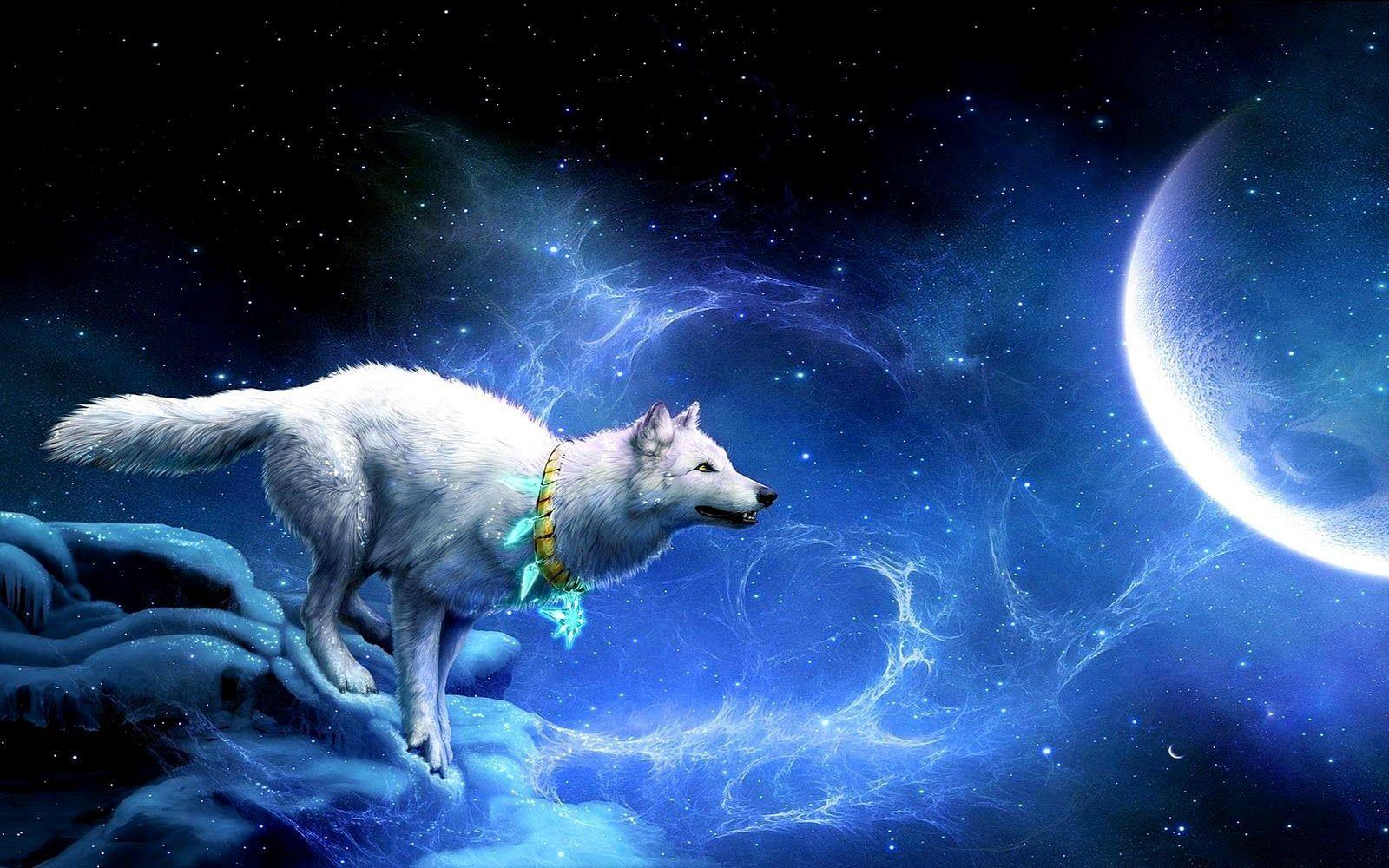 Fantasy white fox and moon download free high quality wallpaper