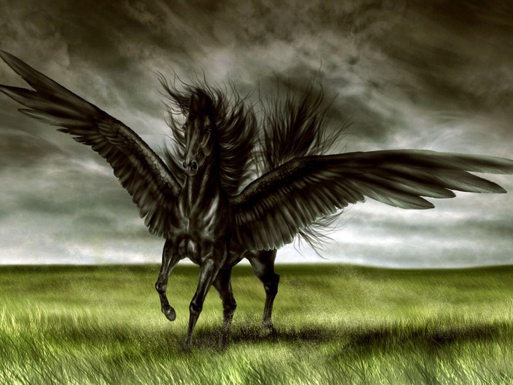 Black Horse Wallpaper 215 HD Picture. Top Wallpaper Desktop