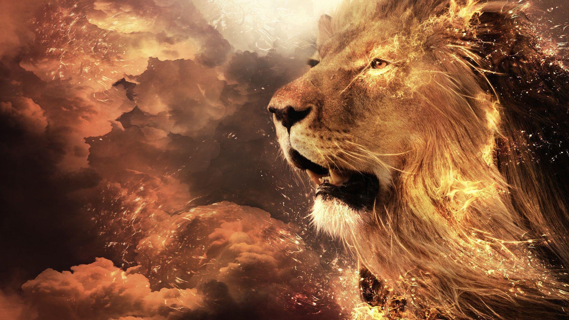 free lion wallpaper