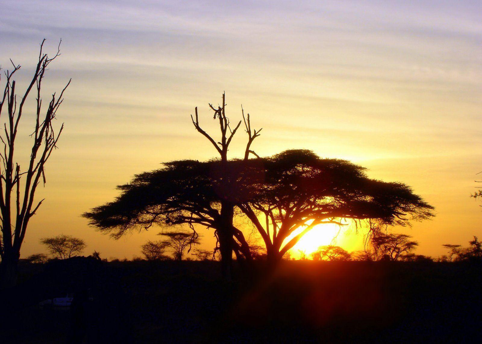 image For > African Sunrise Wallpaper