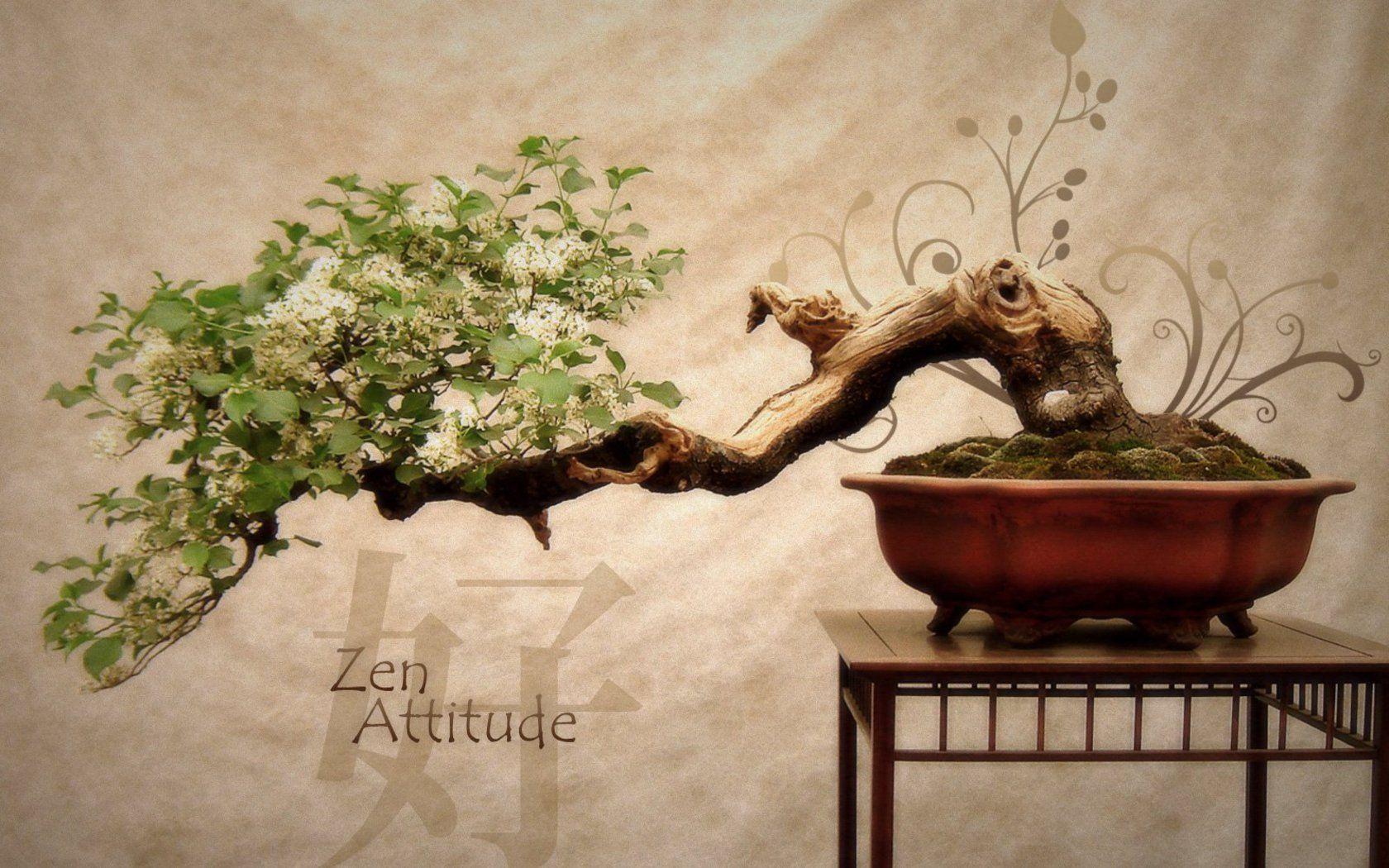 Download Bonsai Wallpaper 1600x1200 #
