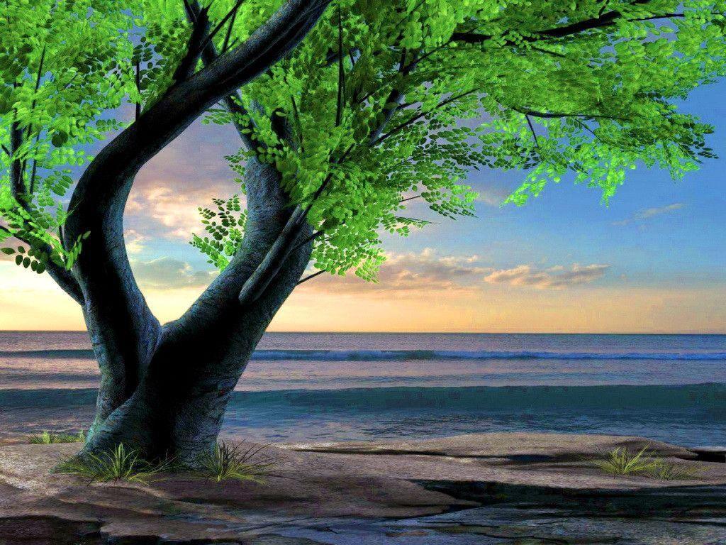 Fantasy Nature Trees Wallpaper