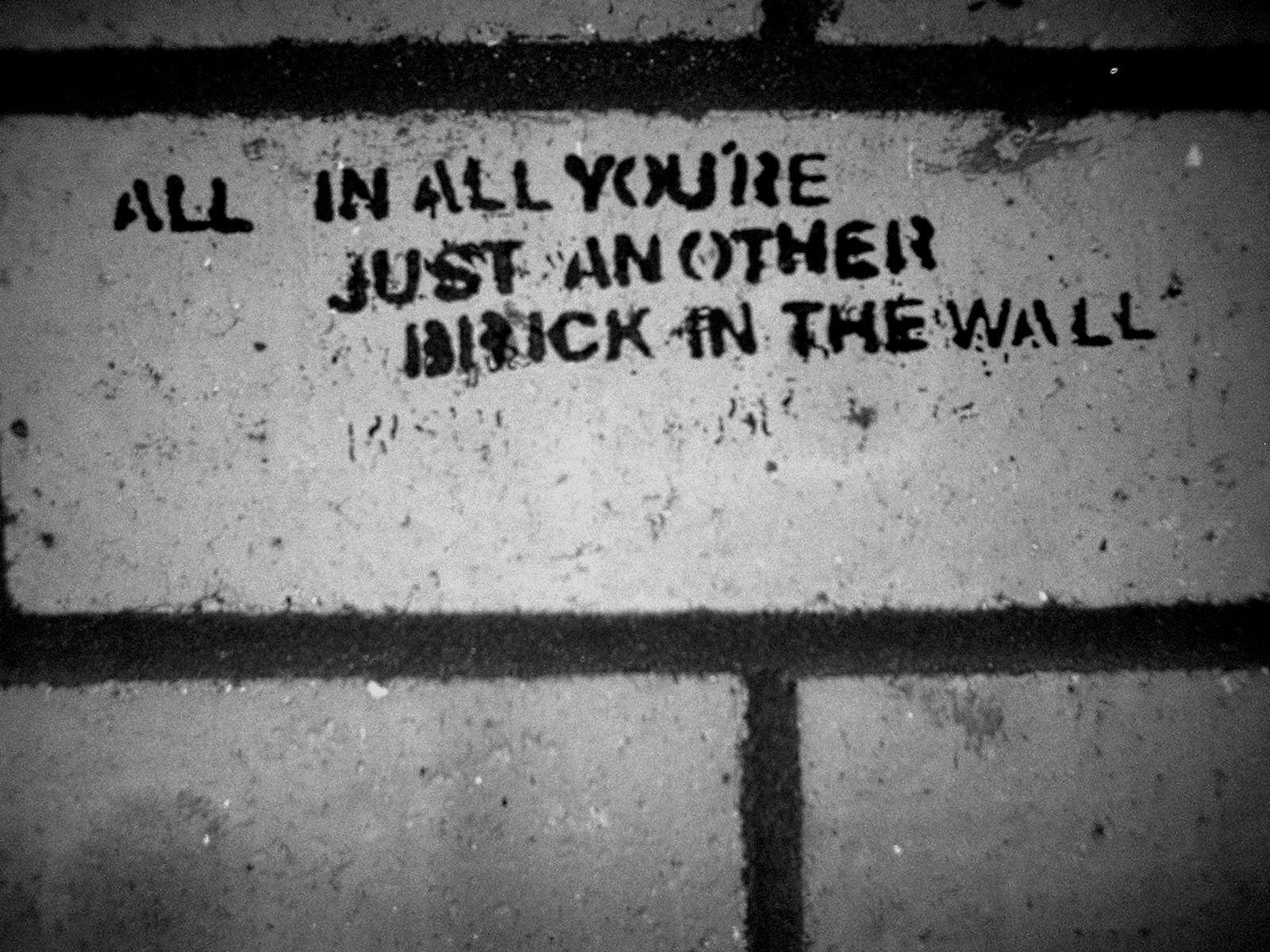 Pink Floyd Animals Quotes The Wall Desktop X 737287 Wallpapers
