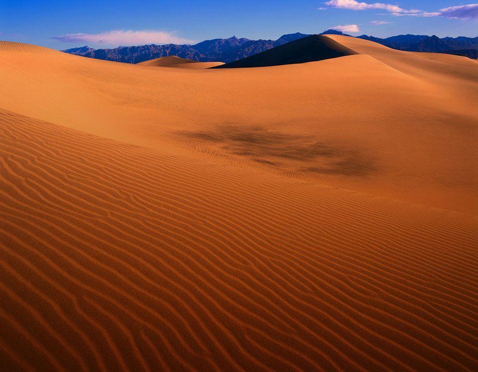 Desert Background 1