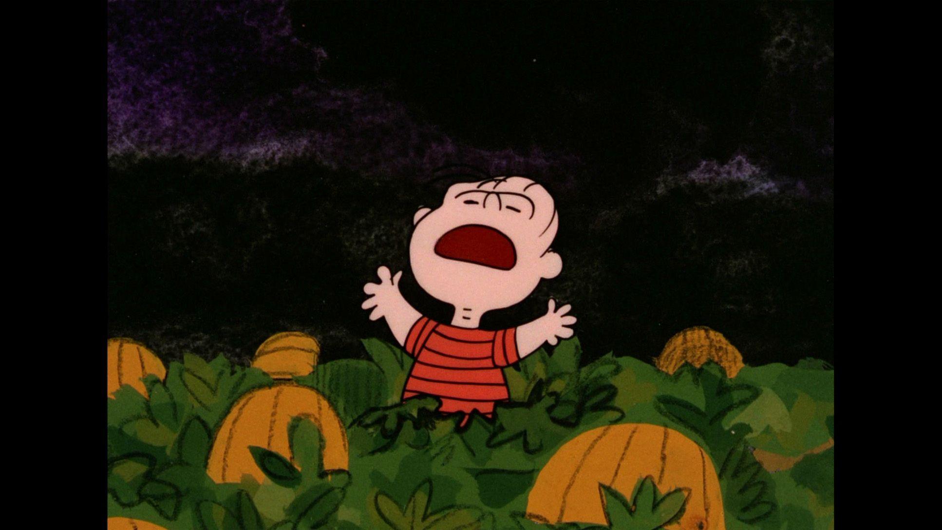 Great Pumpkin Charlie Brown Backgrounds HD wallpaper  Pxfuel