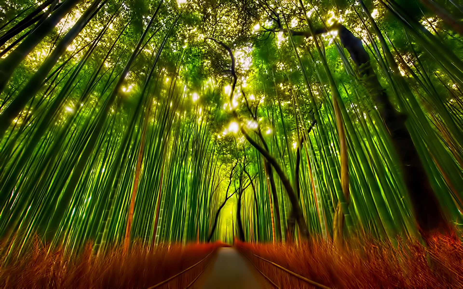Free Download Abstract Free Free Wallpaper Nexus 56 Full