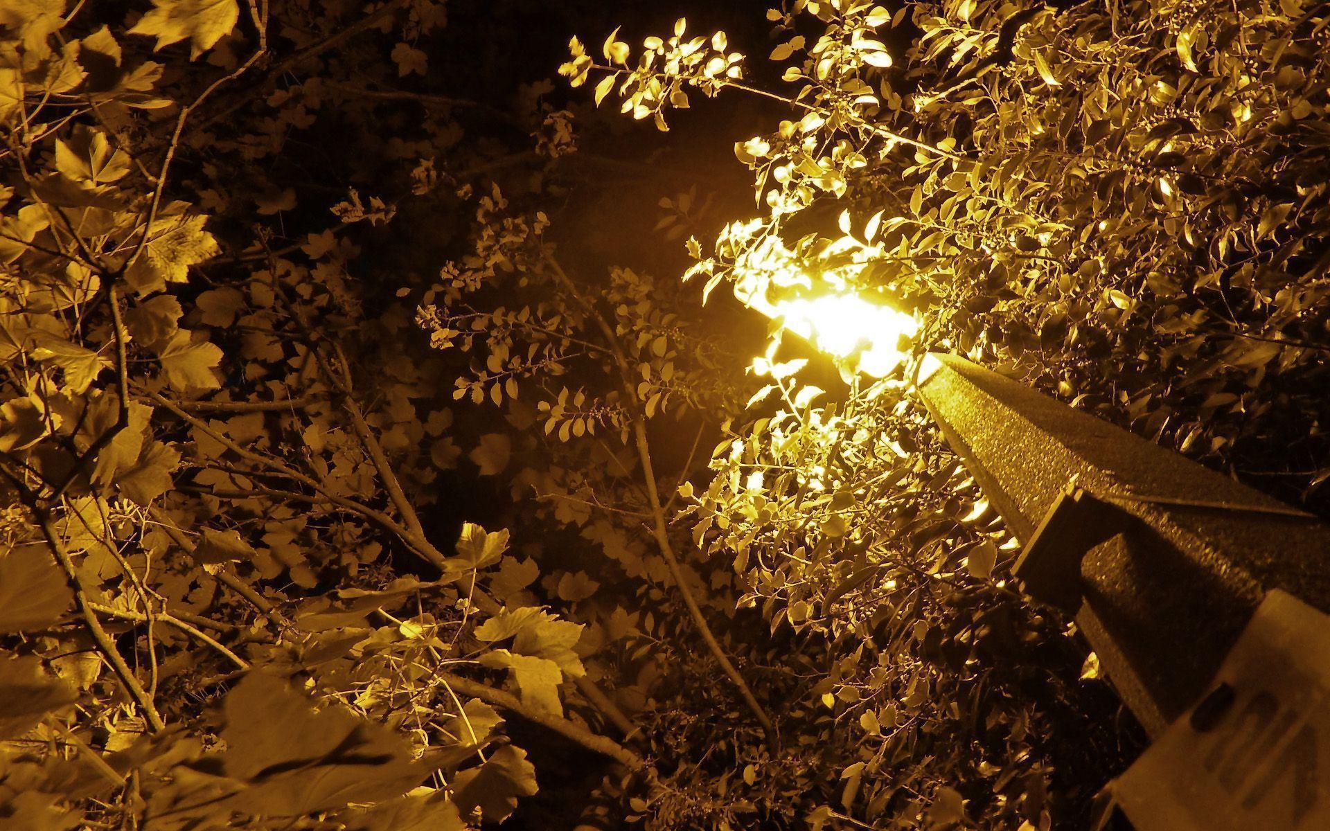 free hi res wallpaper