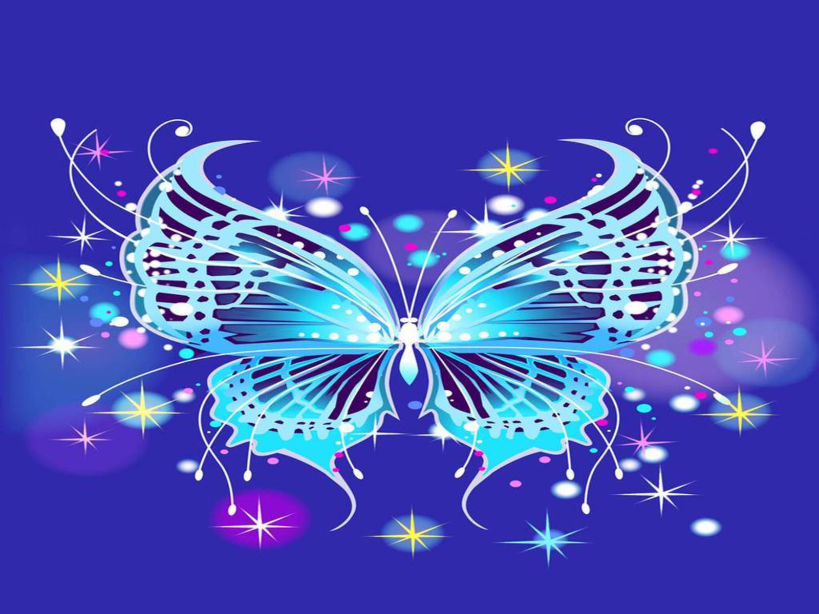 Butterfly Beautiful Wallpaper_