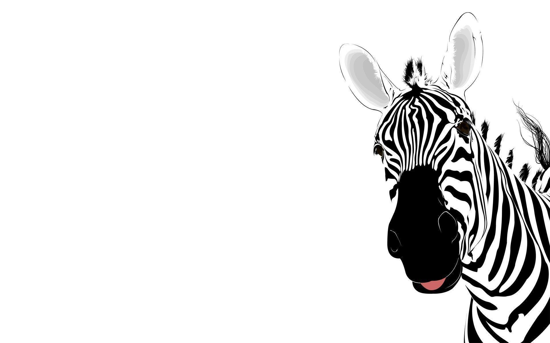 Wass Up (Lovely Zebra) wallpaper