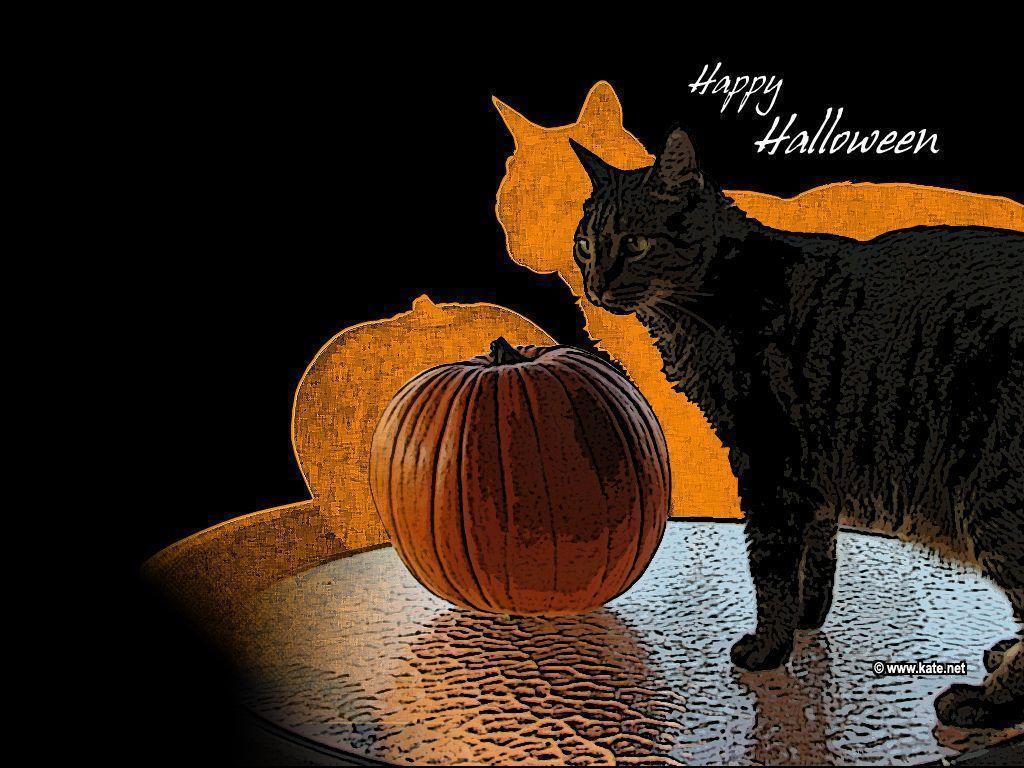 Pumpkin Background, wallpaper, Pumpkin Background HD wallpaper