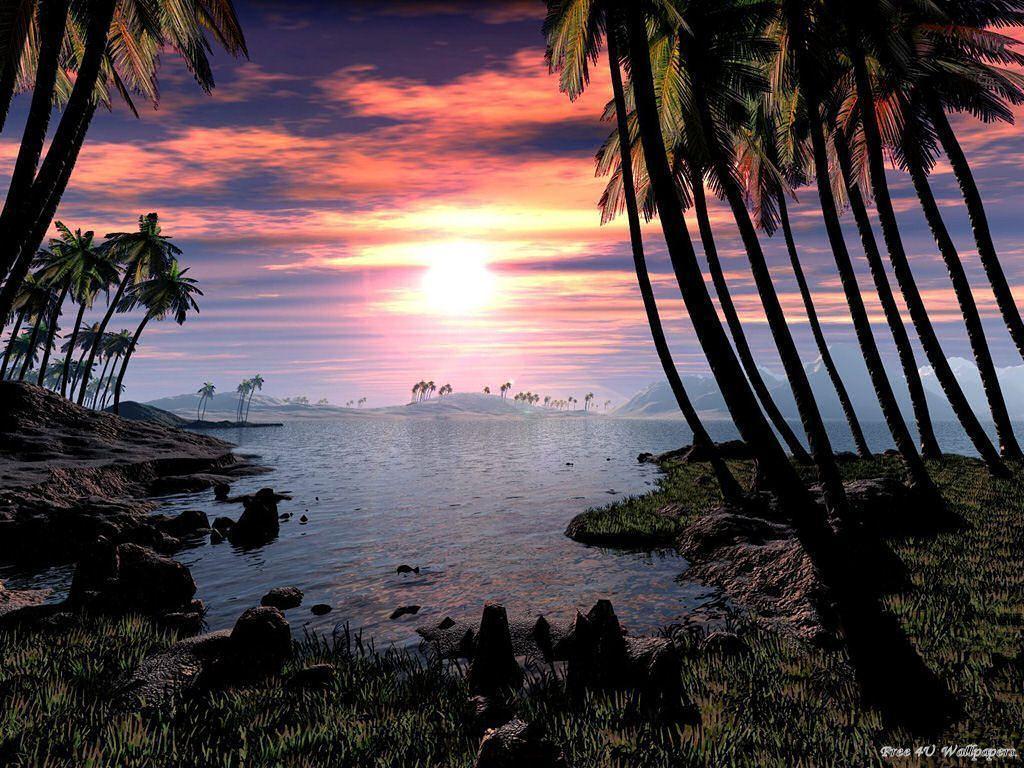 Sunset Beach Wallpaper and Picture Items